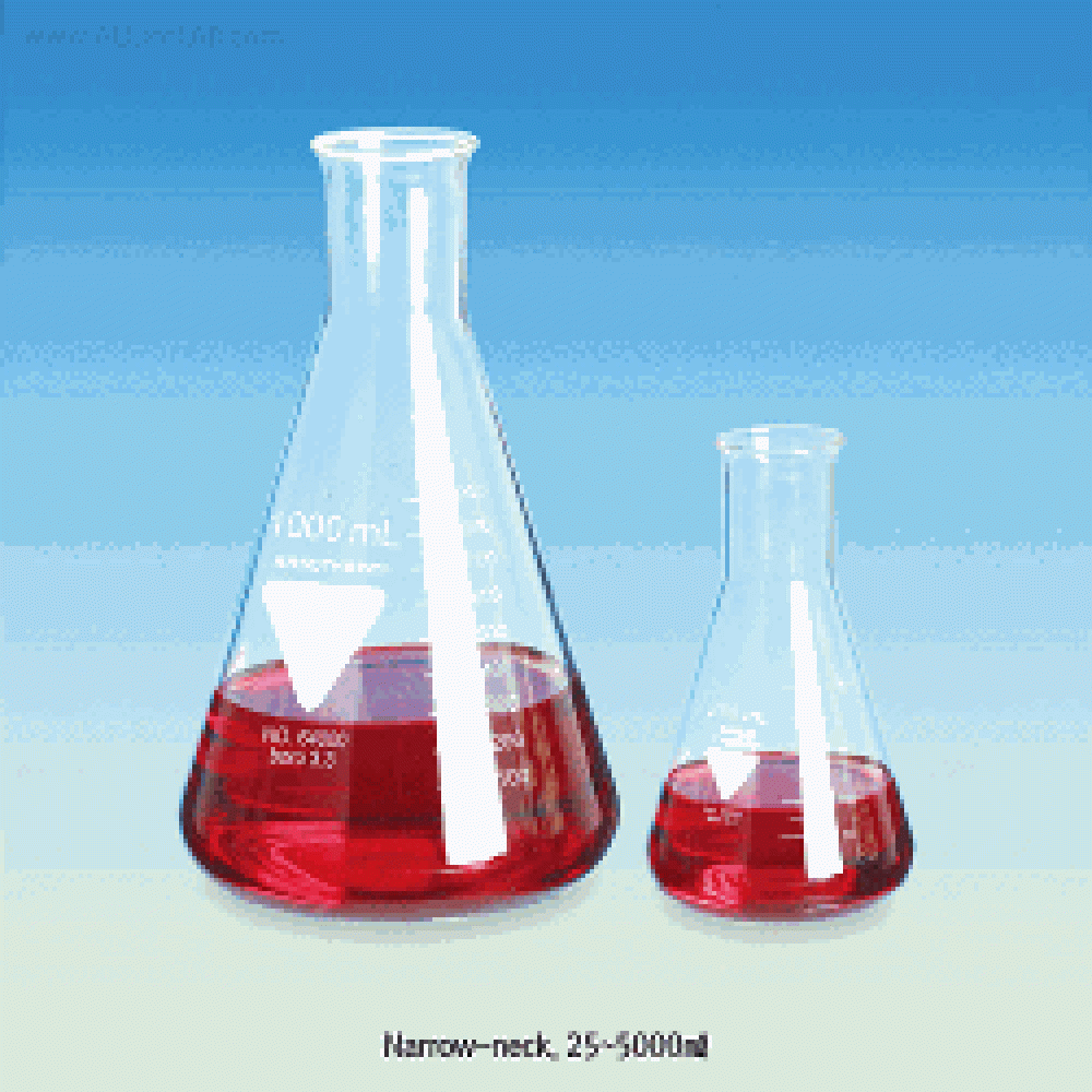 Erlenmeyer Flask from Cole-Parmer